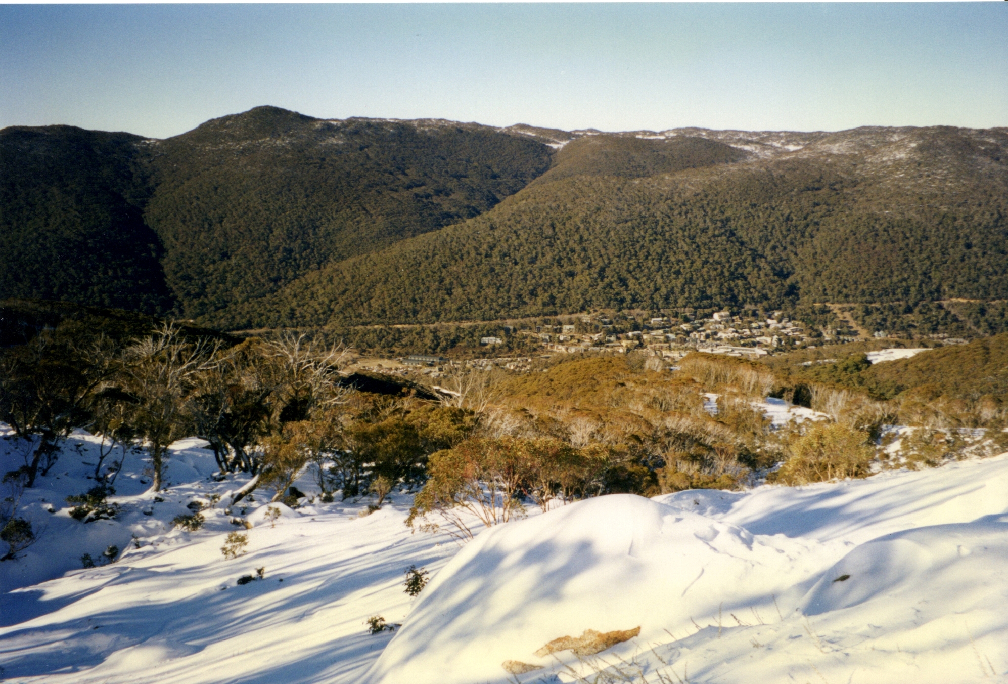 002thredbo.jpg