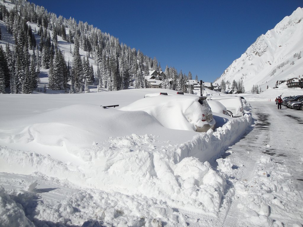 00a alta wildcat lot 100407.jpg