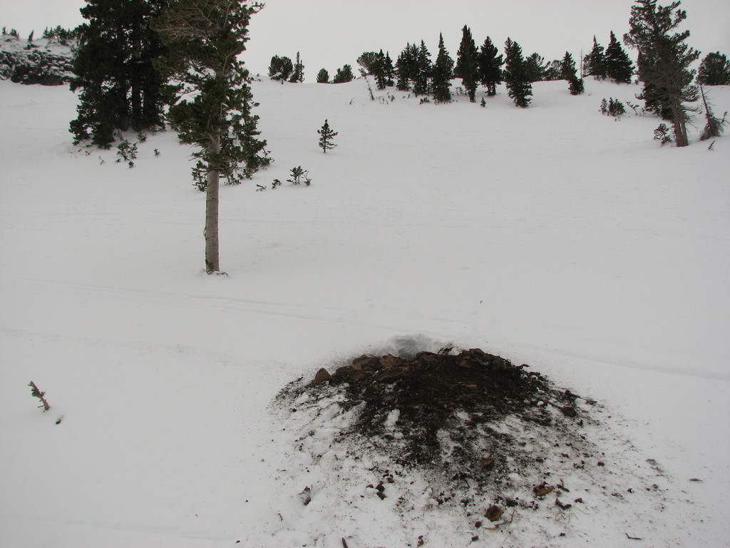 00a_alta_greeleybowl_101204.jpg