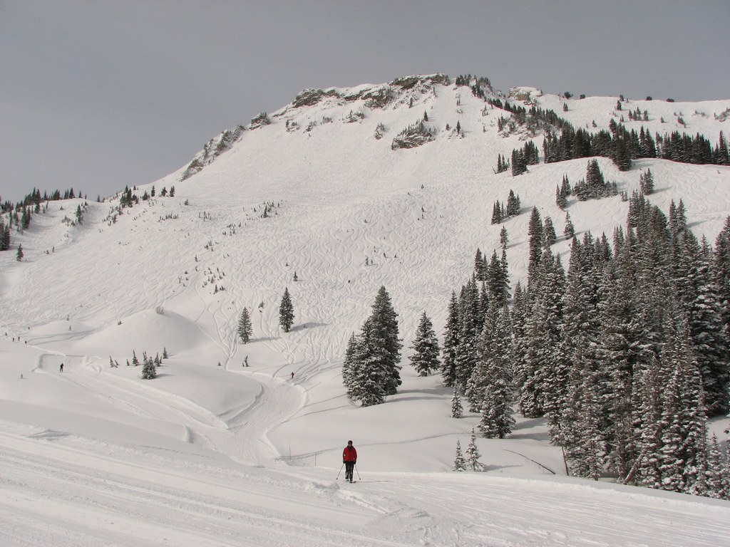 01 alta backside 100404.jpg