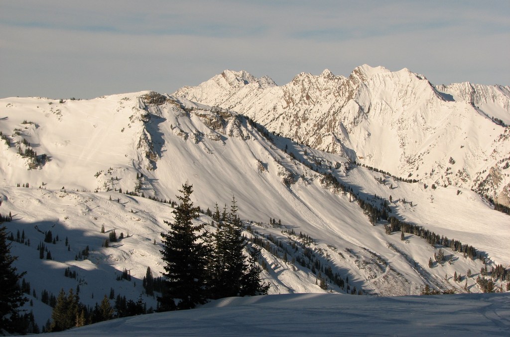 01 alta backside superior 20091219.jpg
