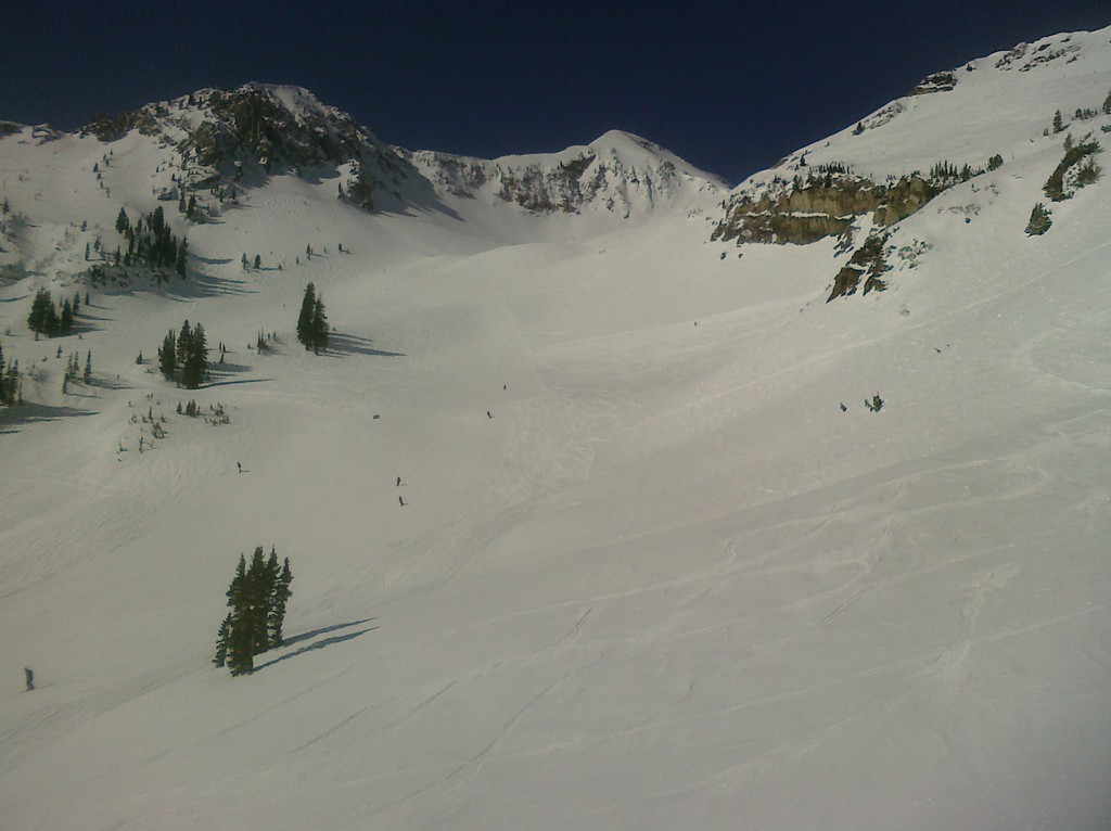 01 snowbird powder paradise 100320.jpg