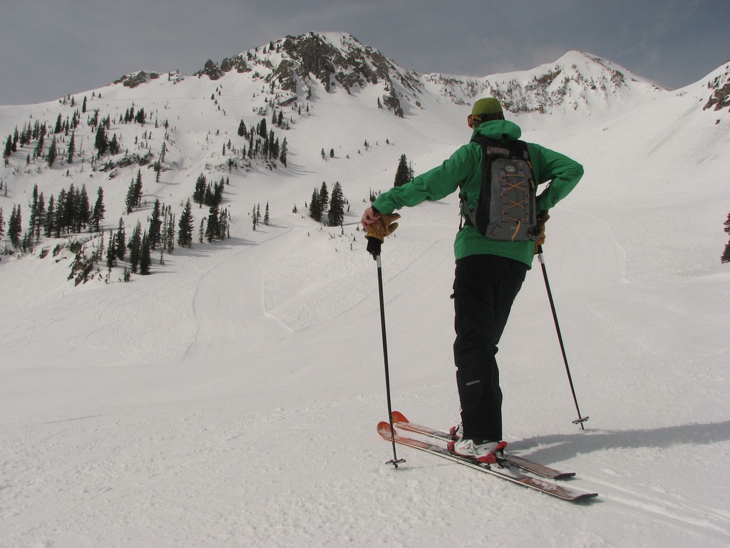 01 snowbird powder paradise skidog 100410.jpg
