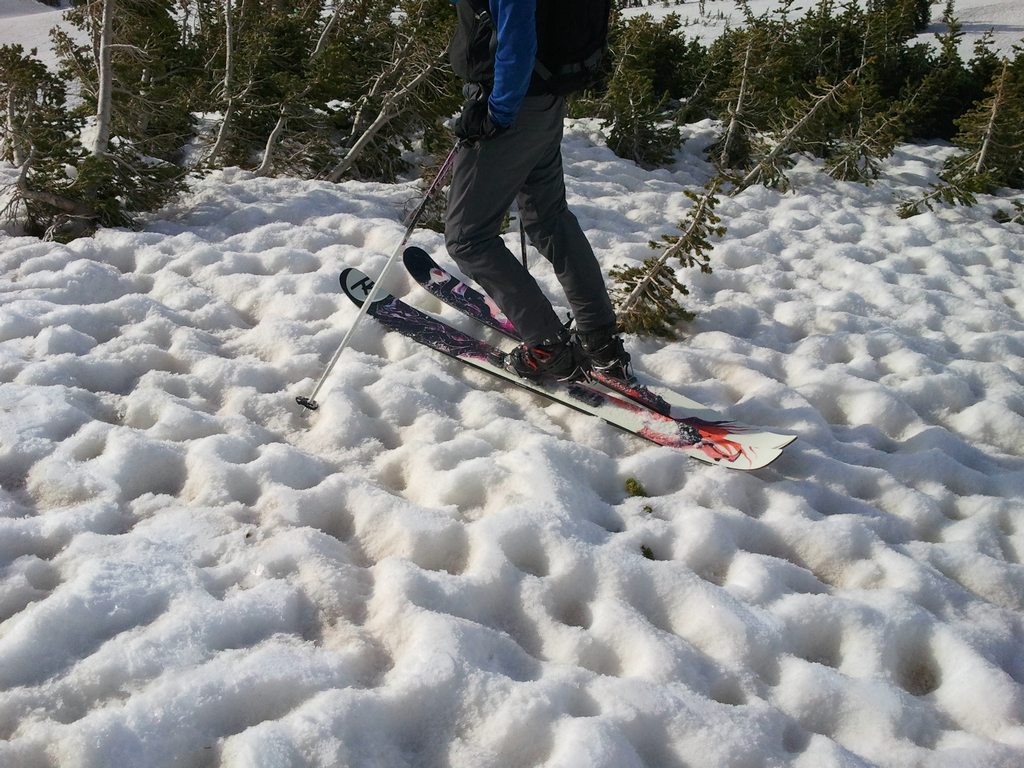 01 snowbird suncups 110618.jpg