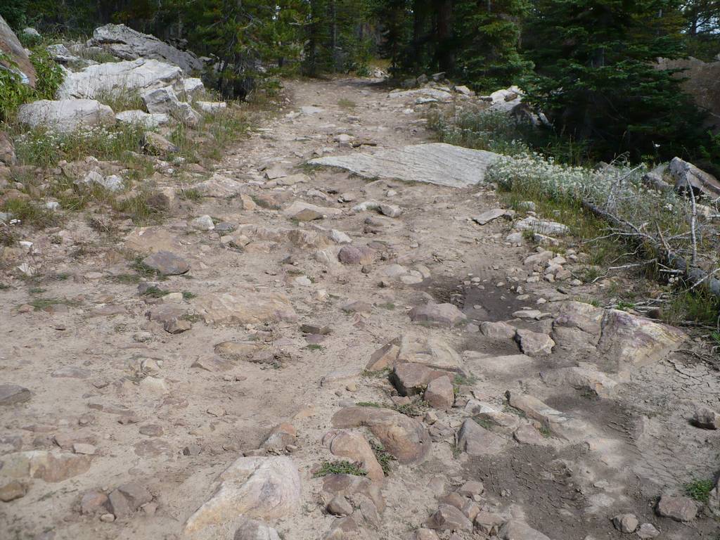 01 uintas norway flat rd 090906.jpg