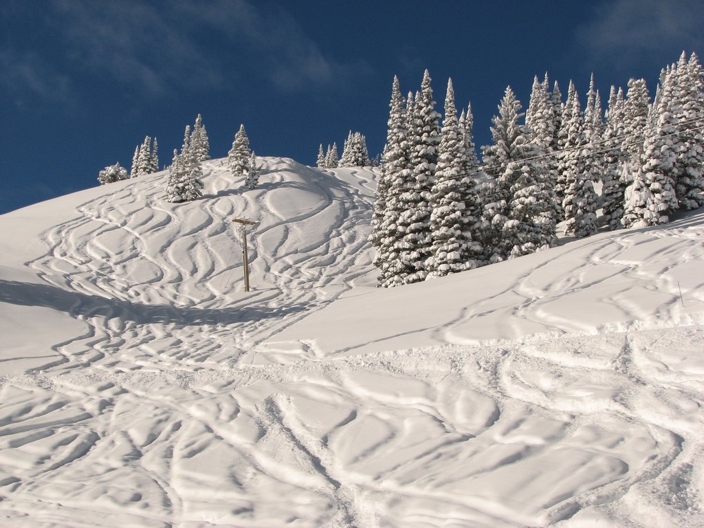 01_alta_restauranthill_110221.jpg