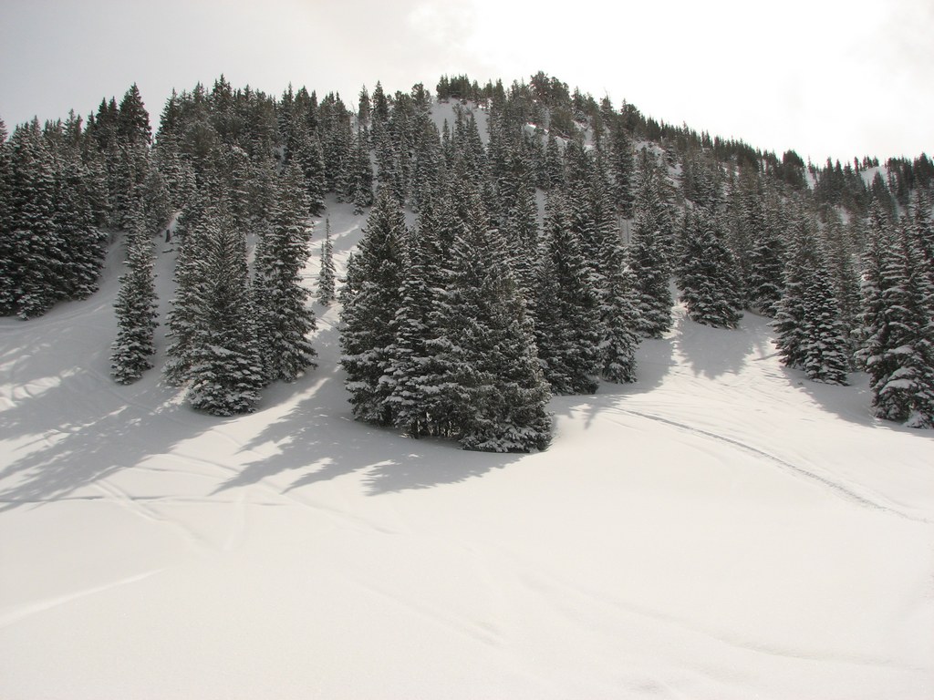 02 alta back40 100404.jpg