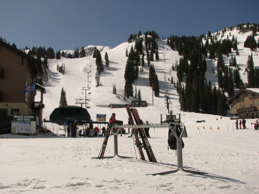 02 alta collins 11 am 100417.jpg