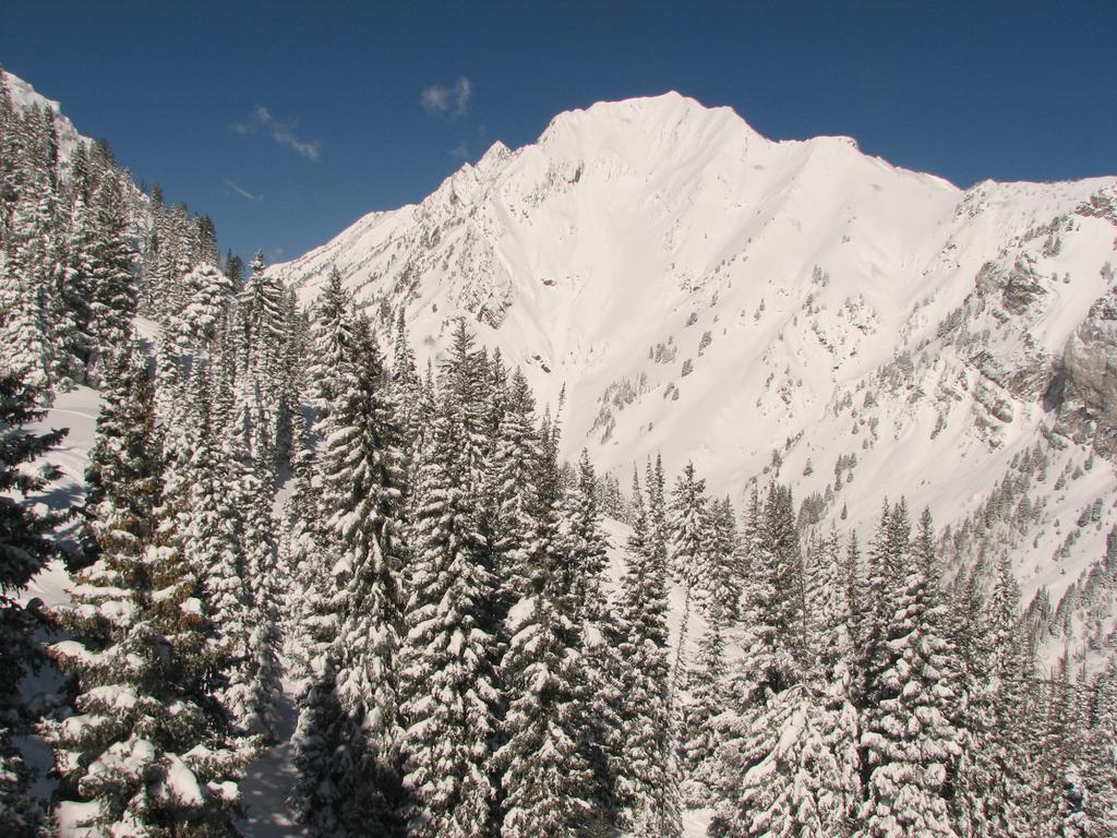 02 alta superior 100407.jpg