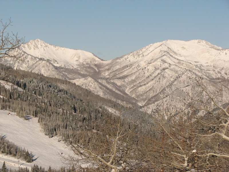 02 bcc 091115.jpg