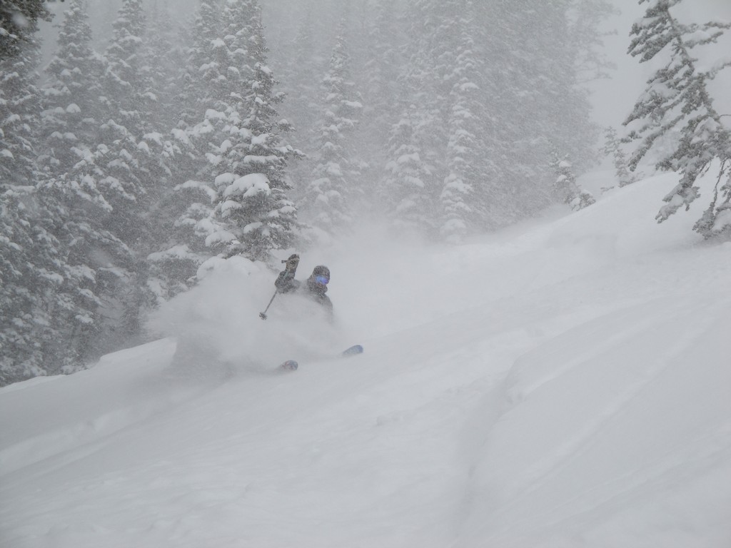 02 snowbird tigertail bobby danger 100401.jpg