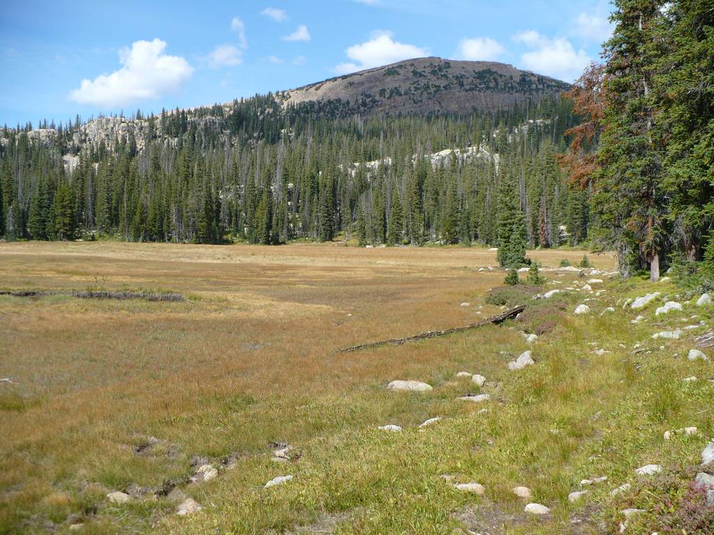 02 uintas bog norway flat 090906.jpg
