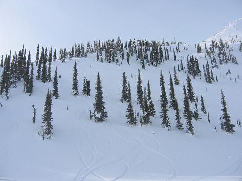 020307_subalpine.JPG