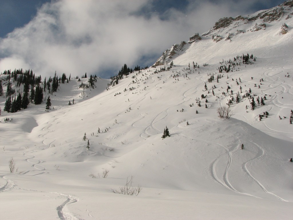 03 alta backside 100214.jpg