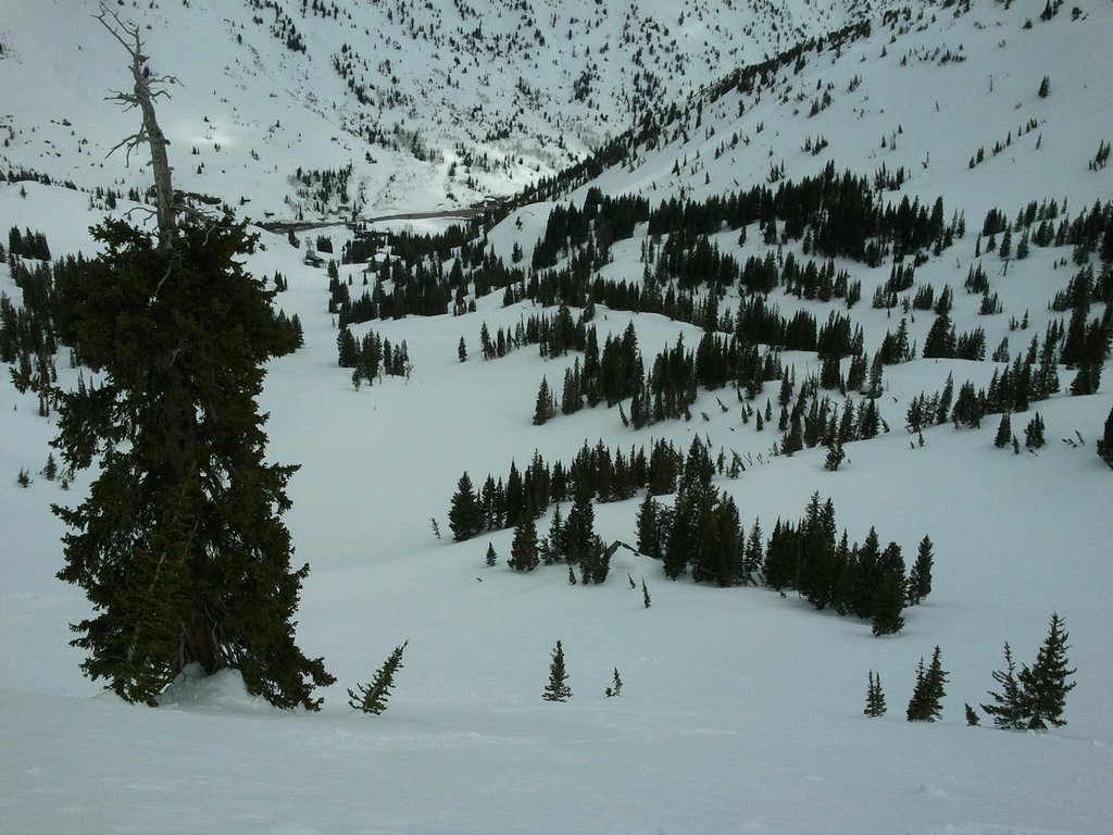 03 alta harolds 110527.jpg