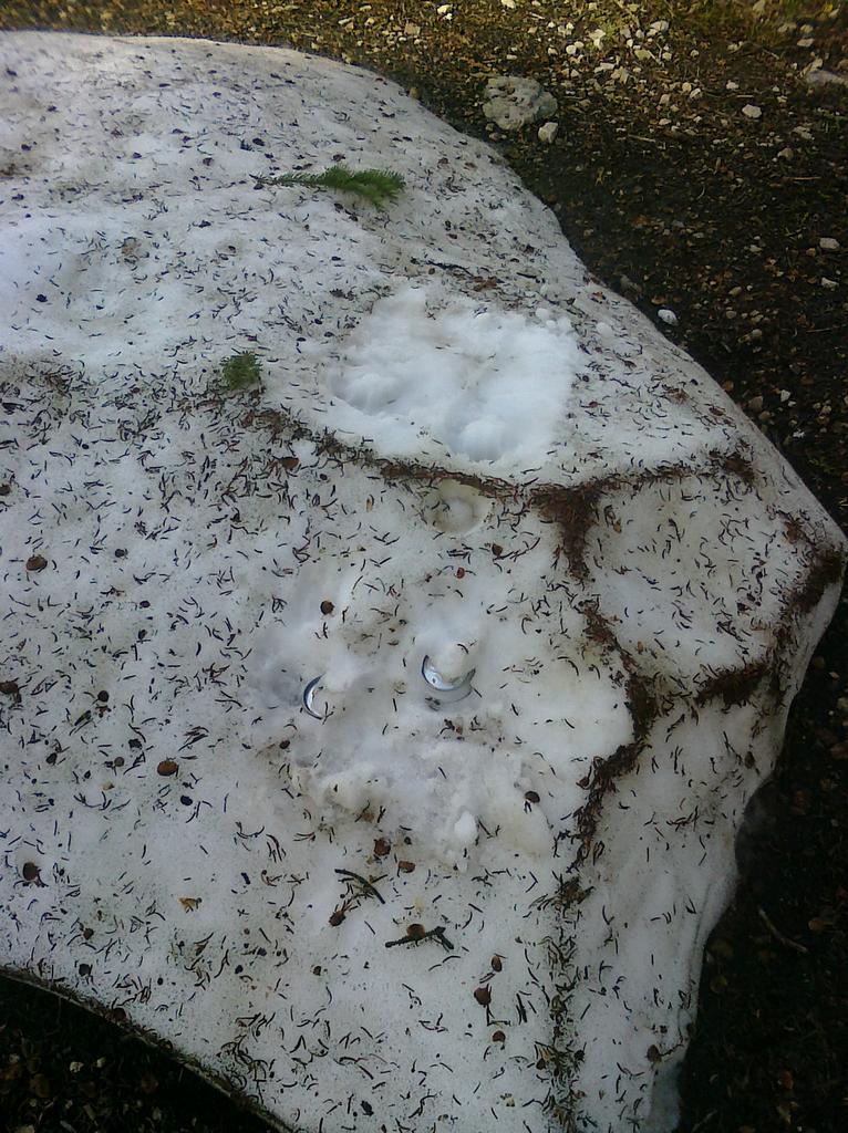 03 fridge - Island Lake 2009-07-03.jpg