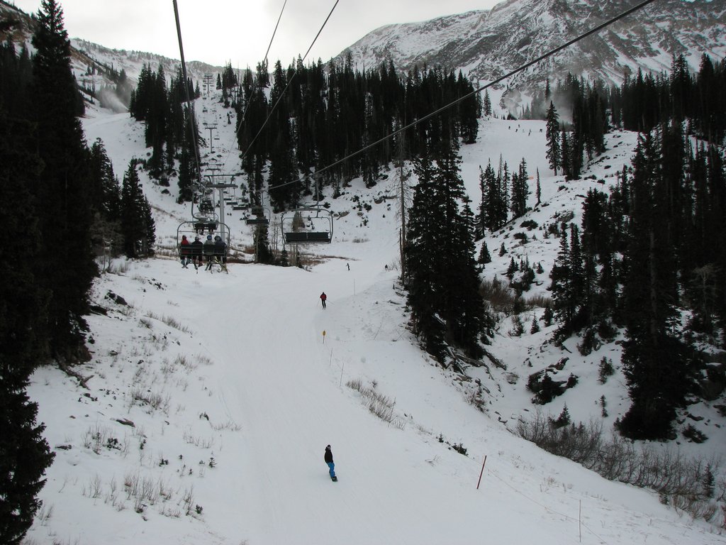 03 snowbird bassackwards 091121.jpg