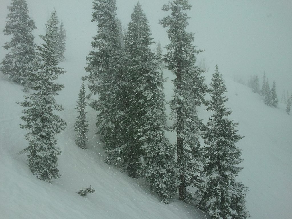 03 snowbird little cloud snowfall 110619.jpg