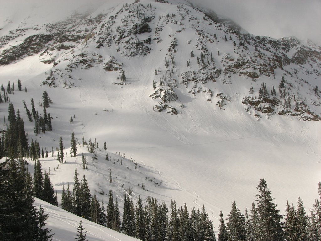 03 snowbird whoopsies 100522.jpg