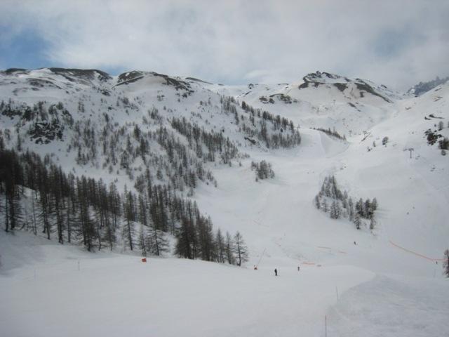 030508_trees.JPG