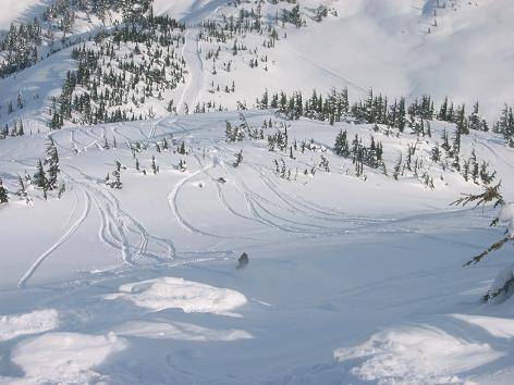 032607_firstcatrun.JPG