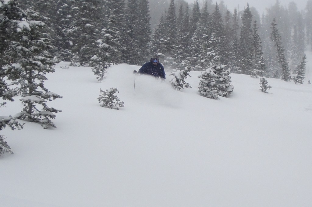 04 snowbird dwore tigertail 100401.jpg