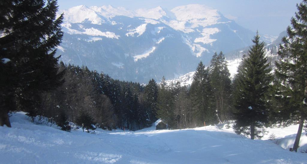 047 (Copy).JPG