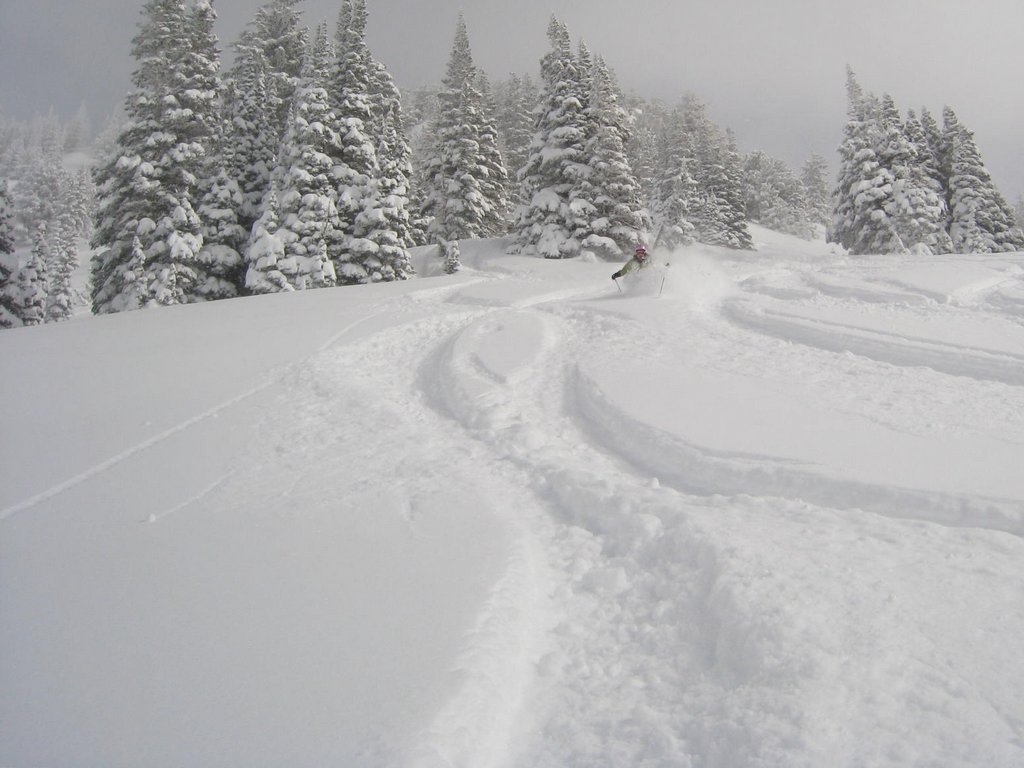 04_alta_pam_090126.jpg