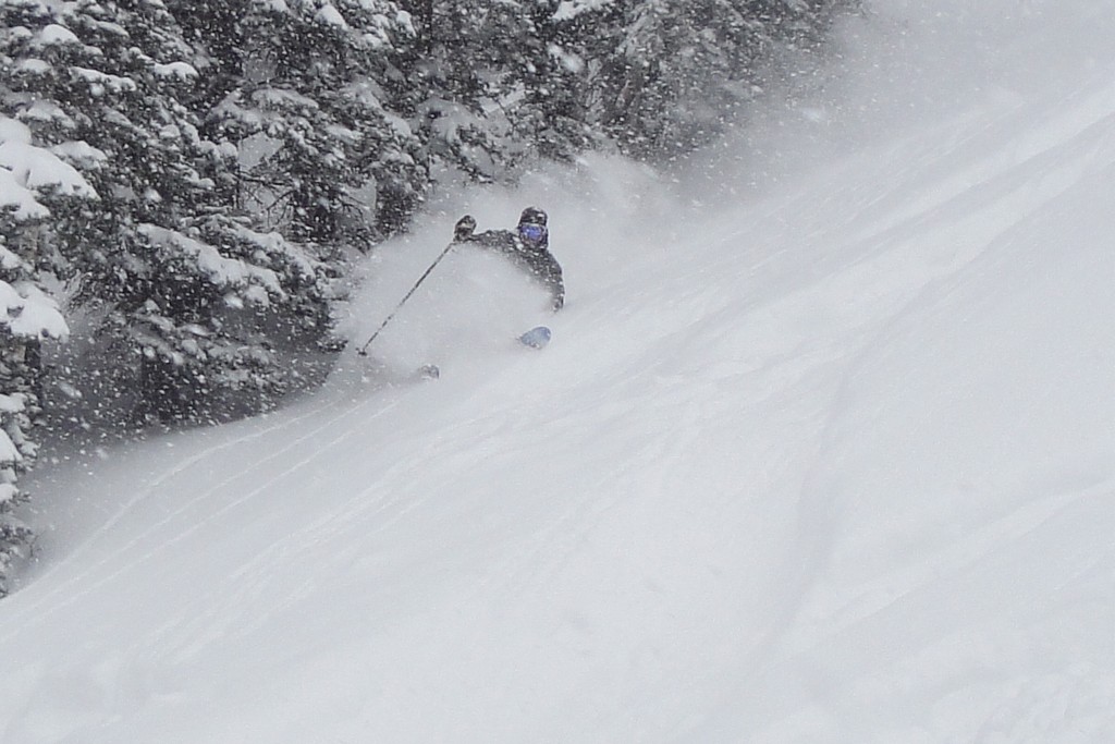 05 snowbird tigertail bobby danger 100401.jpg