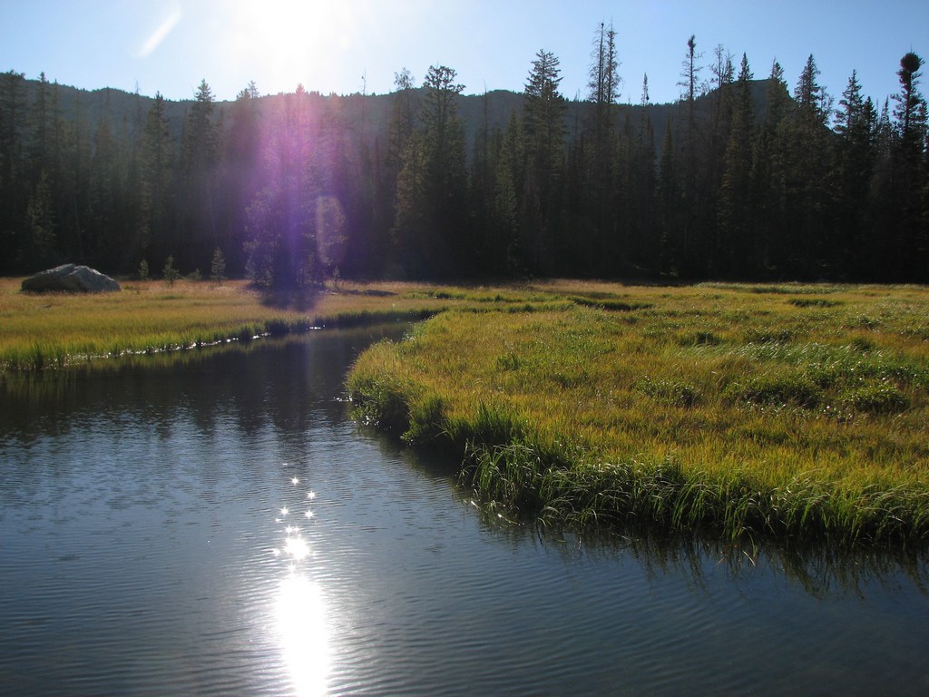 05 uintas meadow n of jewel lake 100904.jpg