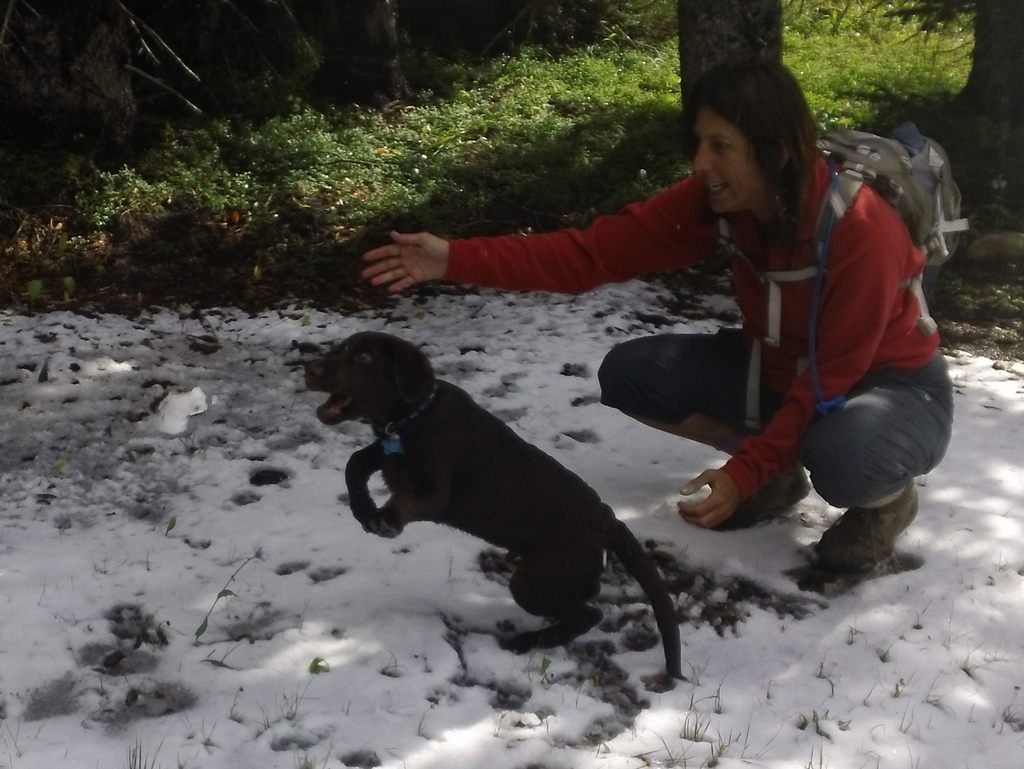 06 uintas jake first snow 110917.jpg
