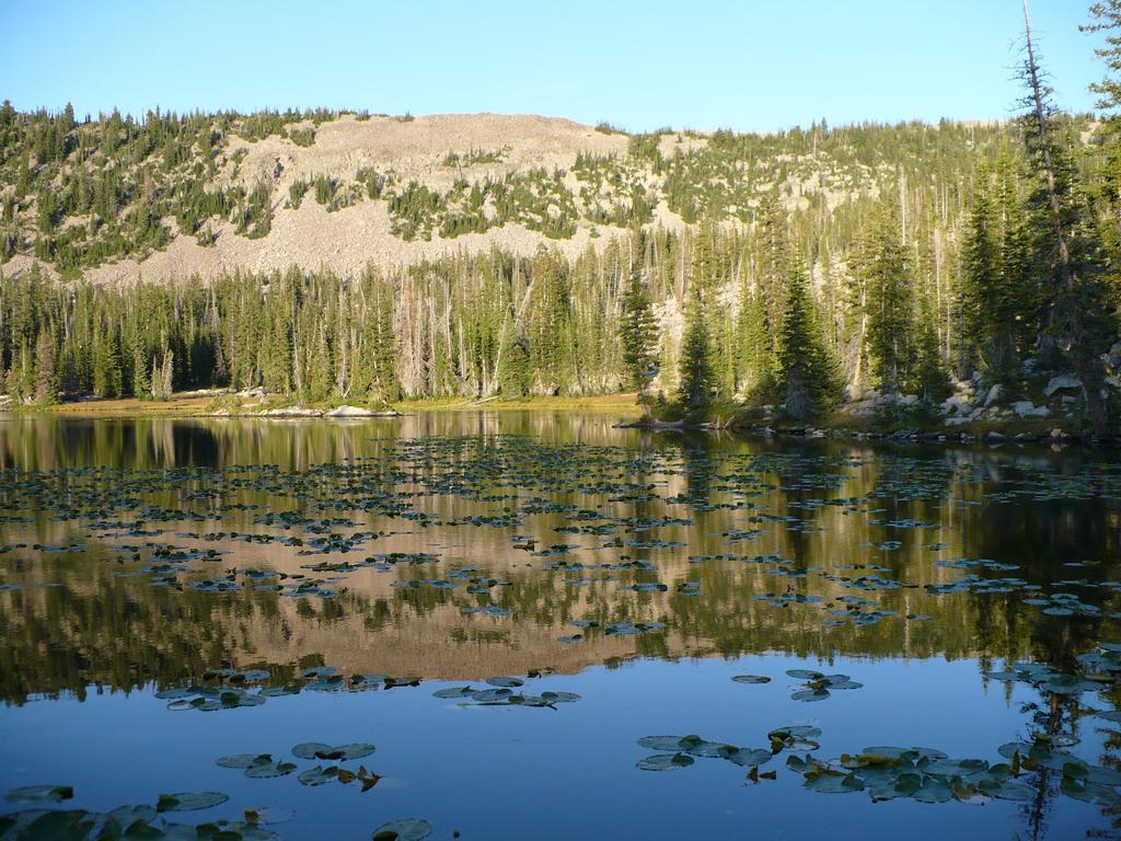 06 uintas n erickson lk 090906.jpg