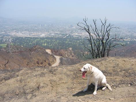 060907_glendale.JPG