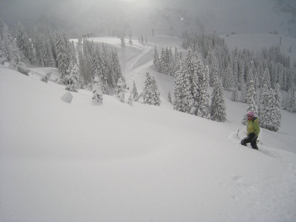 06_alta_pam_untracked_090126.jpg