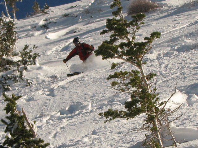 06_snowbird_shot13_skidog_081107.jpg