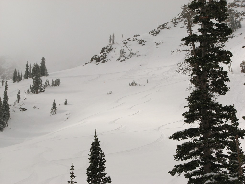 07 snowbird whoopsies ourtracks 100522.jpg