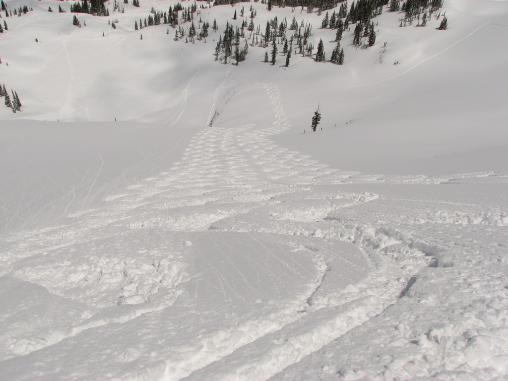 07_alta_castletracks_110501.jpg