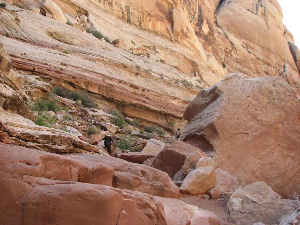 08 ding upper cyn tcope mrsadmin 110605.jpg