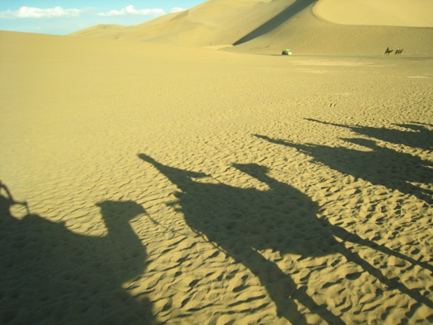 080308_camelshadow.JPG