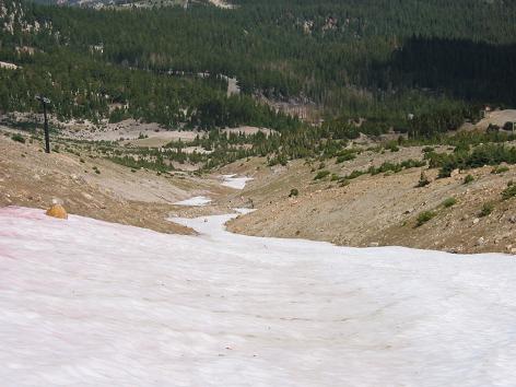 080705_gremlins_down.JPG