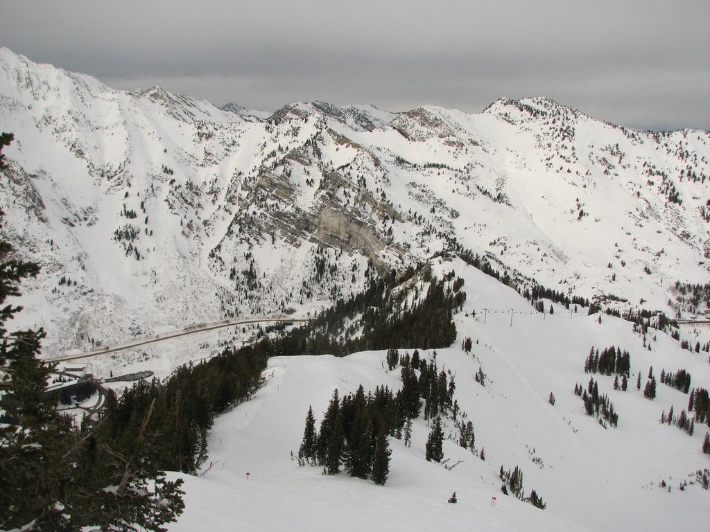 08_alta_wildcatridge_101204.jpg