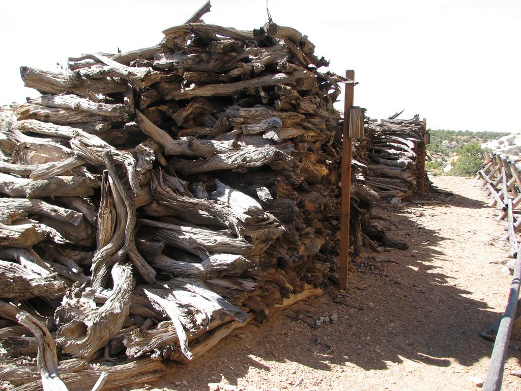 09 san rafael swell - copper globe mine woodpile 100531.jpg