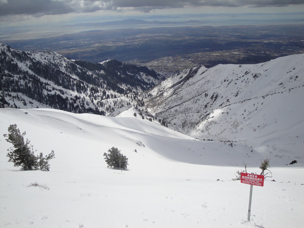 09 snowbasin back of demoisey 100327.jpg