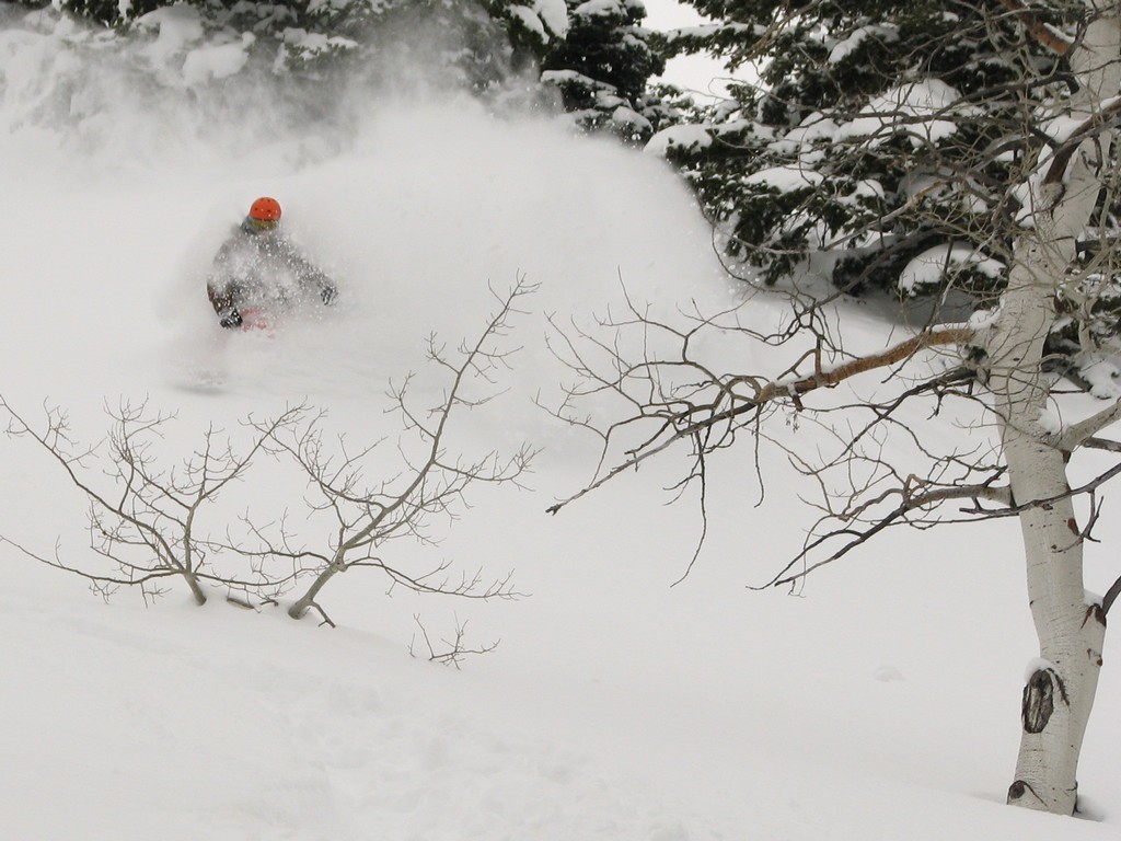 09_powdermt_greg_110224.jpg