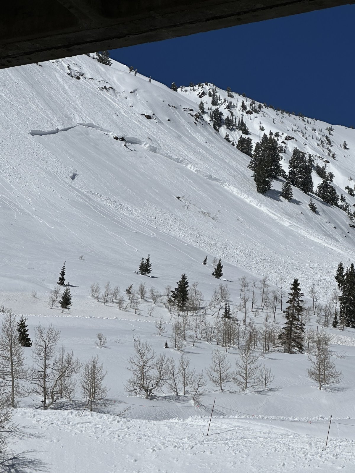 0A664925-27BC-4F17-BC00-9E2EA0B4A7E2.jpeg