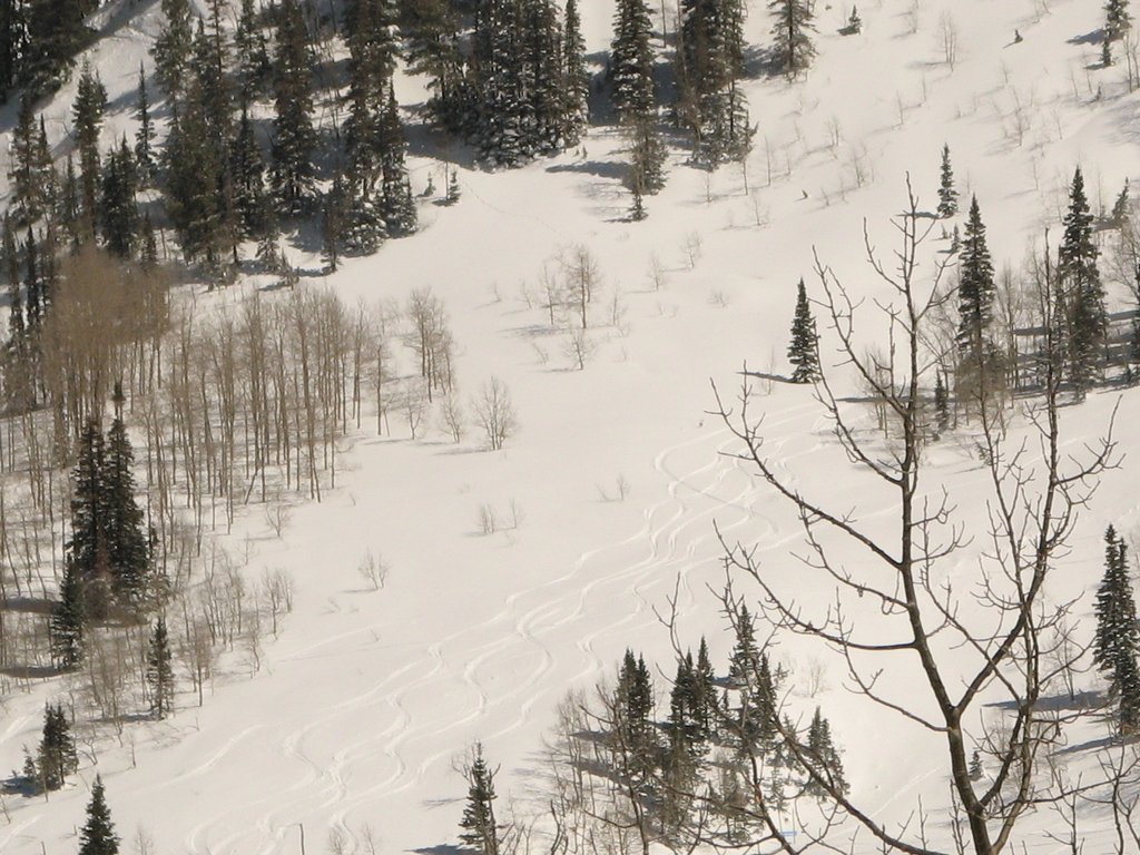 10 alta secret spot 100407.jpg