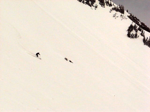 10 alta yellowtrail bobbyd 100523.jpg