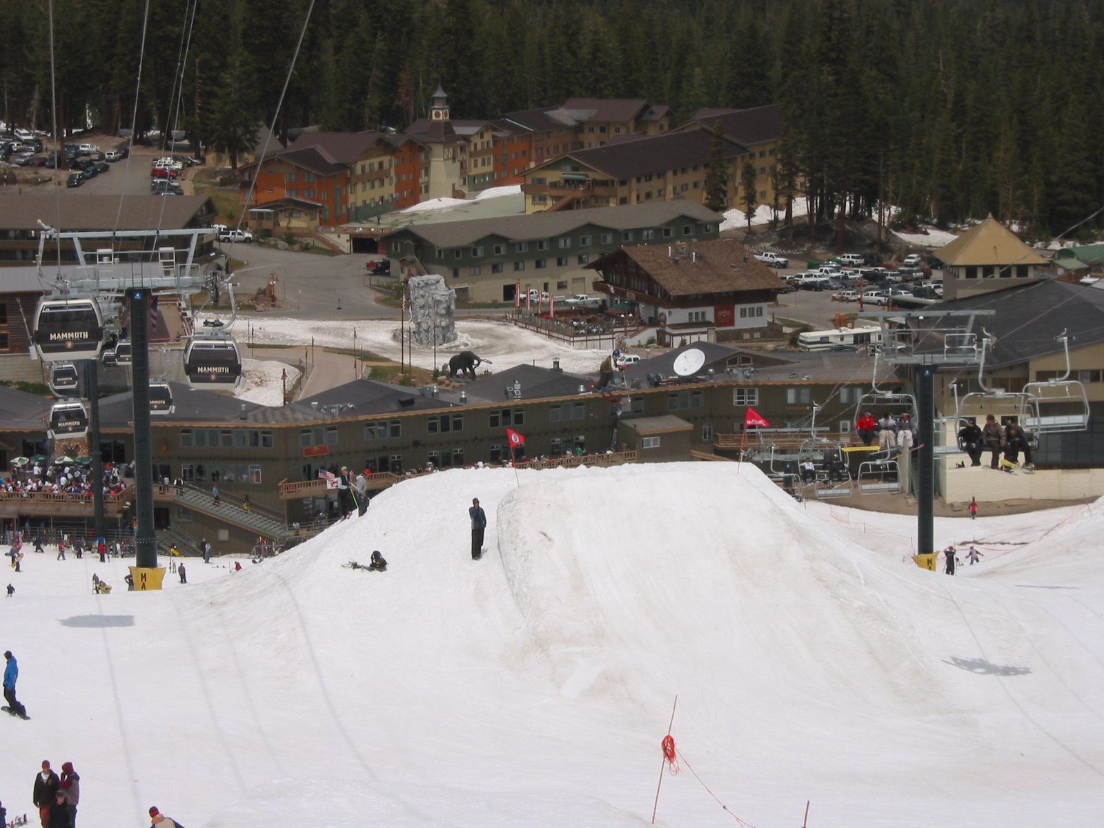102-0231_IMG.JPG