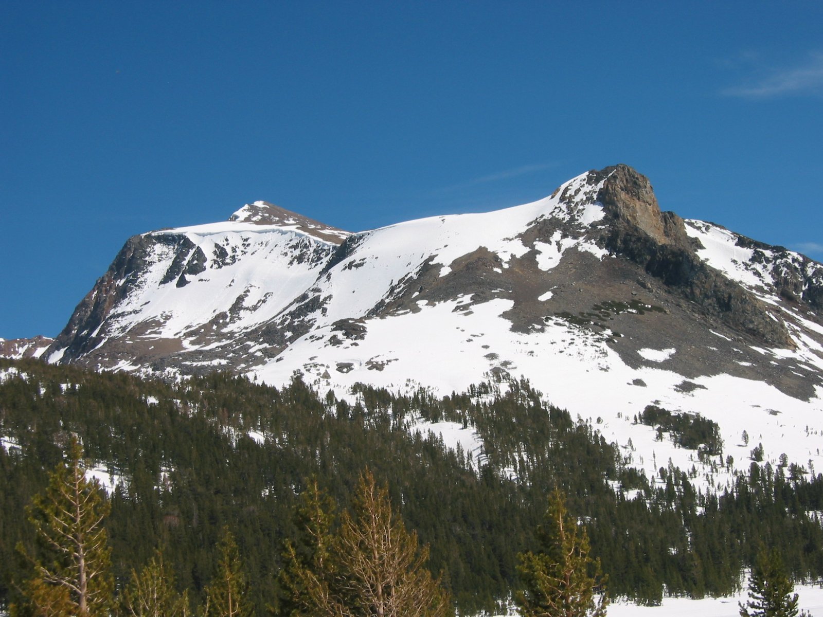 102-0256_IMG.JPG