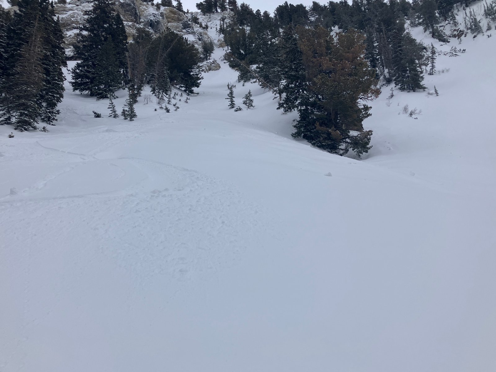 1067WhiteCliffs.JPG